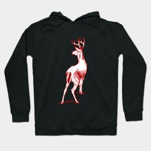 Curious Deer (red) Hoodie